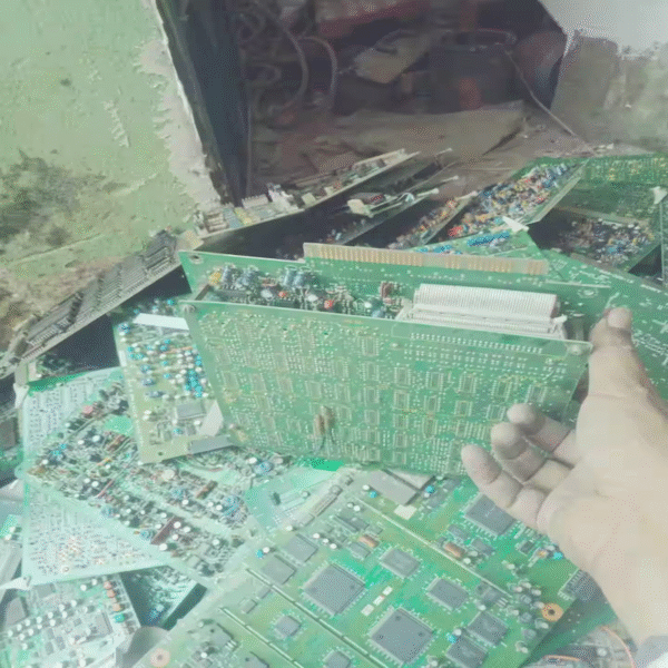 Shredded Circus Boards