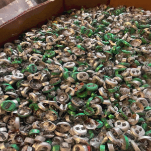 Fluorescent Tube Scrap