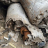 For Sale: 50 Tons of Used Tesla Drive Units-SCRAP
