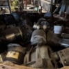 Exclusive Sale of 20 Tons of Canadian New Energy Tram Motors